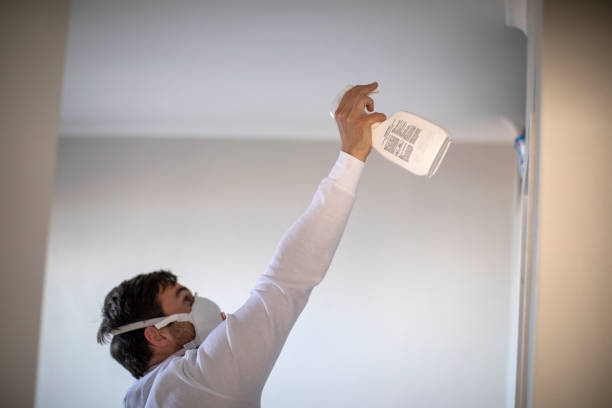 Best Emergency Mold Remediation in Random Lake, WI