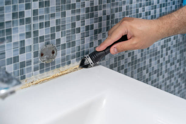 Best Insurance-Related Mold Remediation in Random Lake, WI